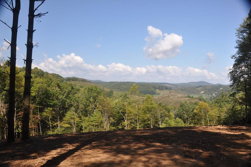 Tree House on Little Peak Creek Farm! in Blue Ridge Parkway, Ashe County