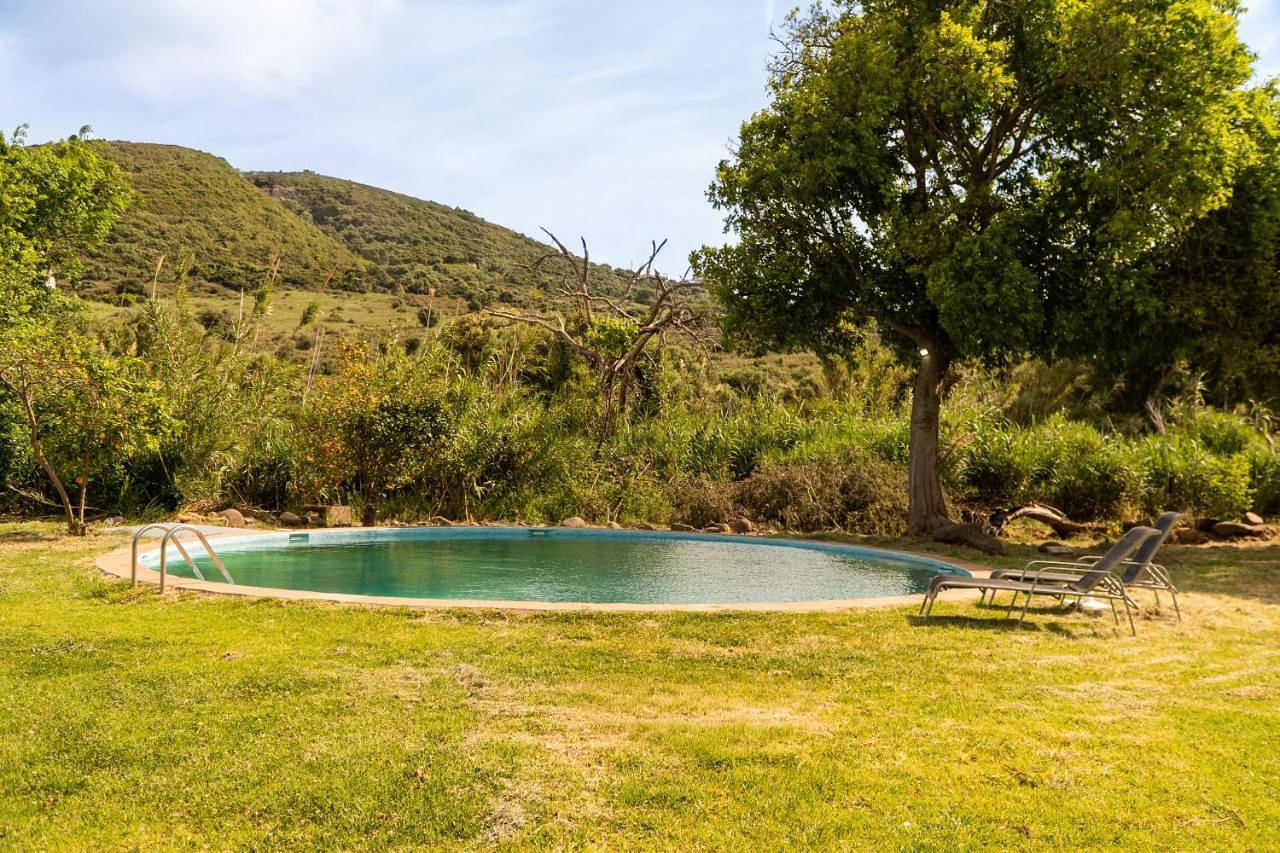 Finca Santa Teresa, Casa La Higuera in Sierra (Casares), Casares