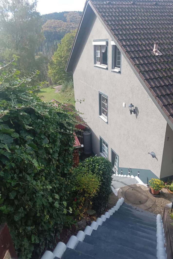 Ferienwohnung für 2 Personen, mit Terrasse und Garten in Kleines Wiesental - 3