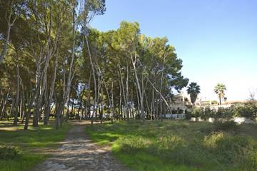 Apartment in Alcúdia, Mallorca Norden für 5 