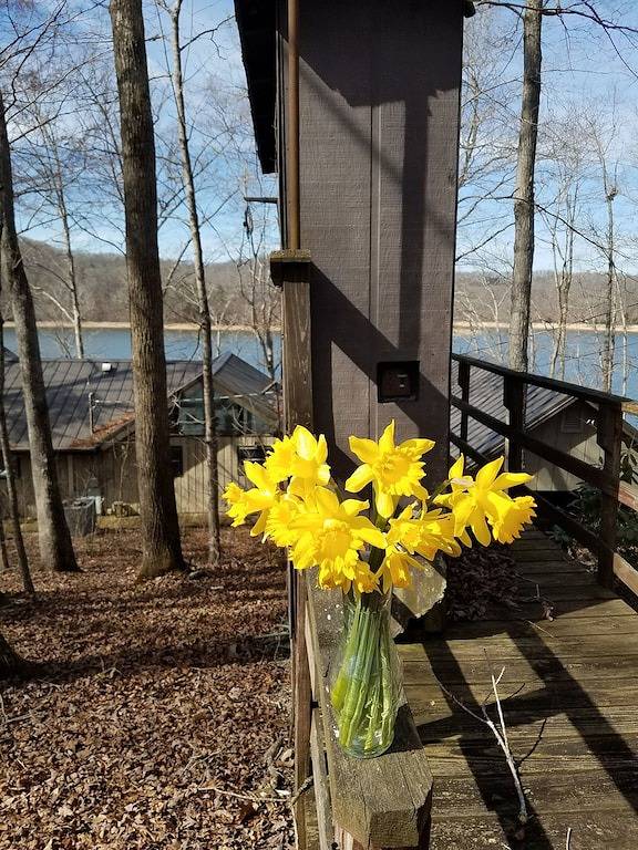 \"Last Resort\" on Norris Lake, 3Br, 3Ba, Andersonville, Tn Home in Norris Lake