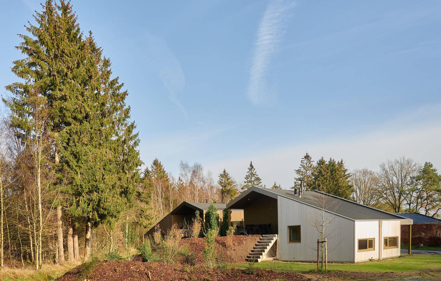 Ferienhaus für 6 Personen mit Terrasse in Nationalpark Dwingelderveld