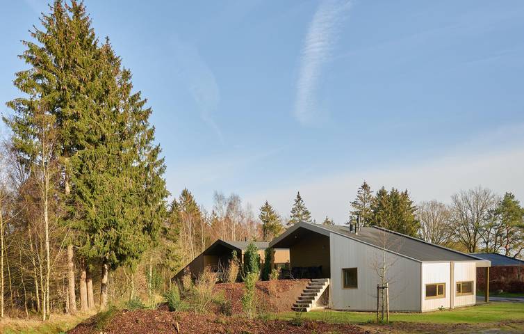 Holiday home for 6 people with terrace in National Park Dwingelderveld