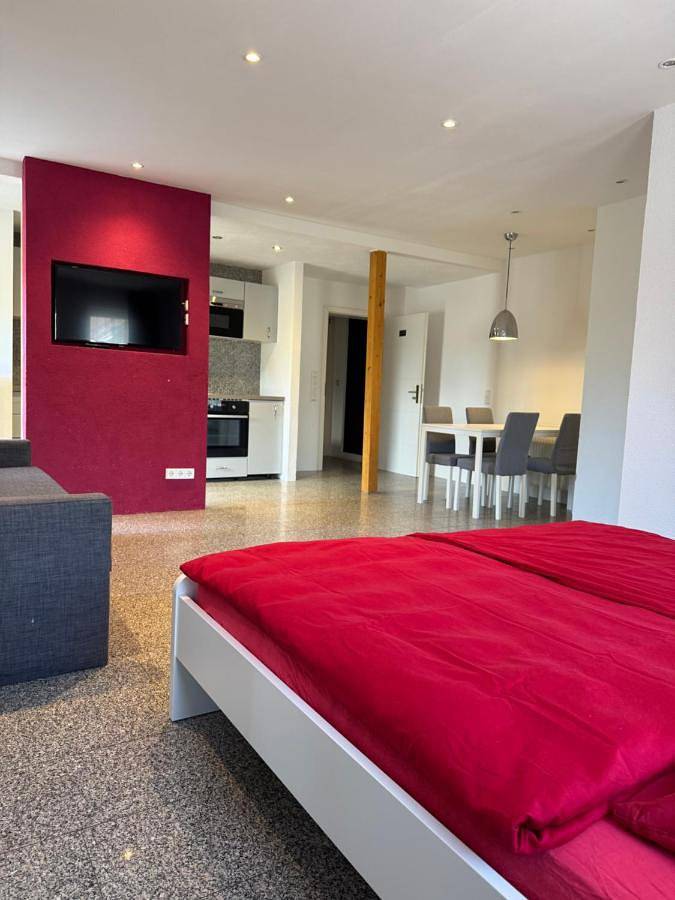 Gîte pour 7 personnes, avec jardin ainsi que piscine et vue, animaux acceptés dans Willstatt - 3