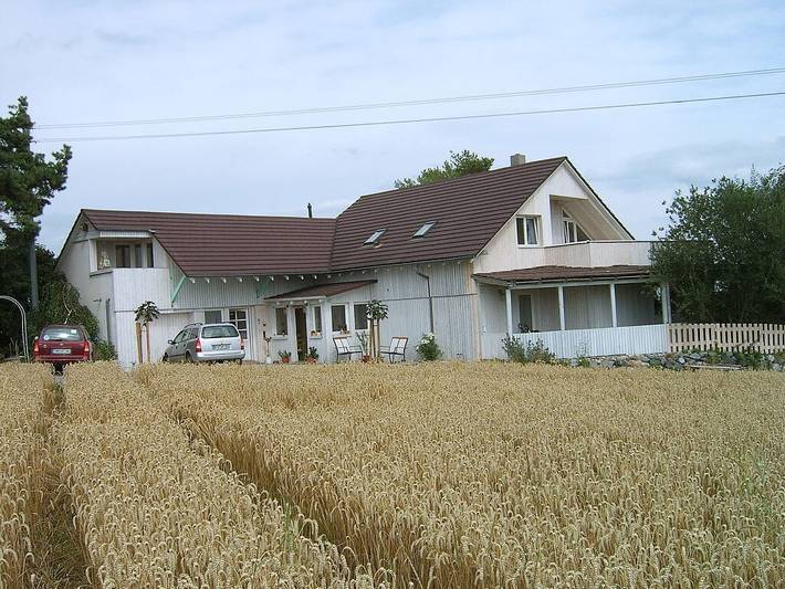 Ferienhaus für 4 Personen, mit Sauna und Terrasse sowie Garten, mit Haustier in Oberschwaben - 2