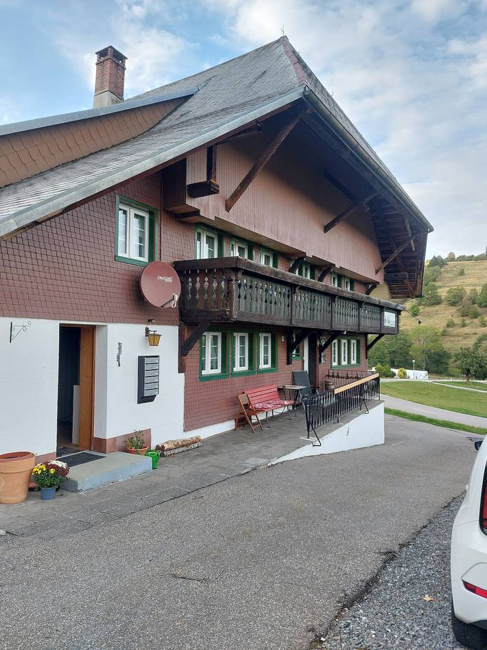 Ganze Wohnung, Apartment „Wiesenblick“ mit Bergblick, privater Terrasse und Wlan in Todtmoos - Weg, Todtmoos