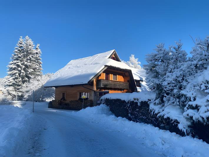 Ganze Wohnung, Großzügiges Appartment „Am Hirschenmoor“ mitten in der Natur, privater Terrasse und Garten in Breitnau, Südschwarzwald