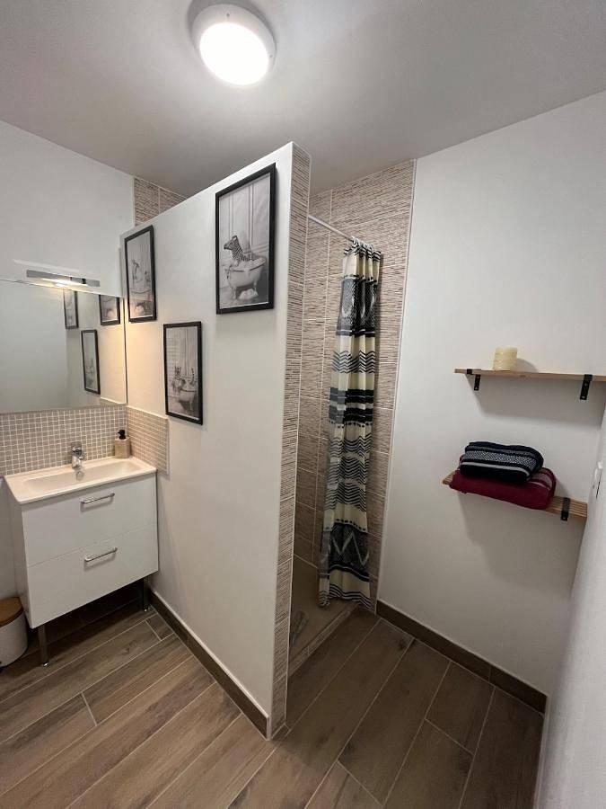 Location de vacances pour 16 personnes, avec jacuzzi, animaux acceptés à Bécon-les-Granits - 4