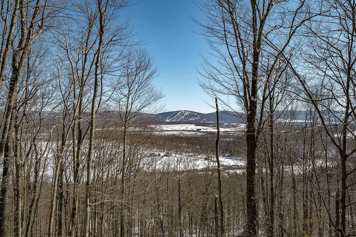 Vacation house for 14 people, with hot tub and balcony, with pets in Canaan Valley