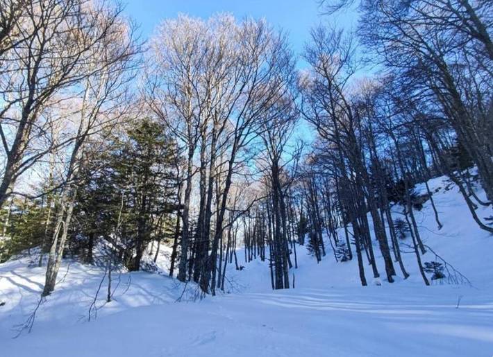 Gîte pour 5 personnes, avec jardin et vue ainsi que bassin pour enfant et piscine à Bielle (Pyrénées-Atlantiques) - 3