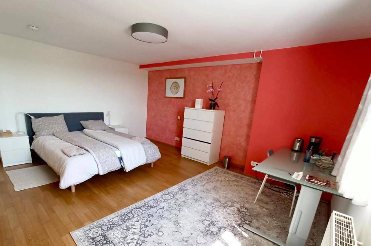 Appartement de vacances entier, Cosy Room in Remich in Remich, Luxembourg