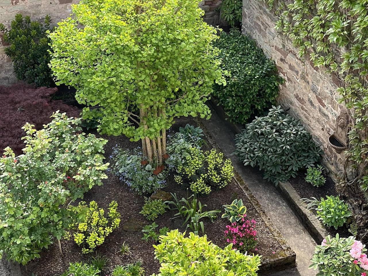 Ganze Ferienwohnung, Maison baroque - Ferienwohnung in Blieskastel, Saarpfalz-Kreis