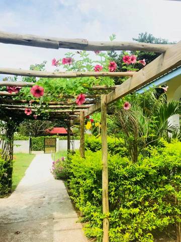 Maison d’hôte pour 3 personnes, avec jardin dans La Digue