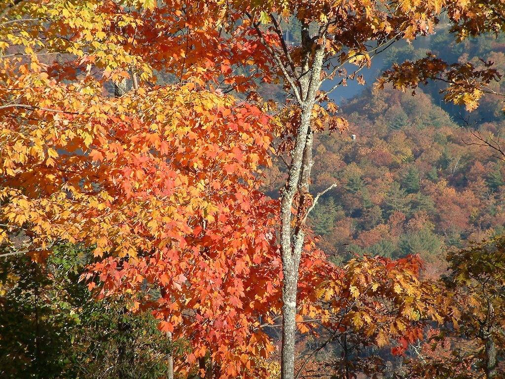 Lakefront Toxaway Home: 20 'Boot mit 130 Ps Inklusive - Wasserspielzeug ist optional in Lake Toxaway