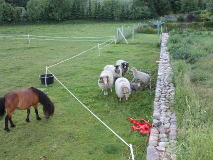 Bauernhaus für 5 Personen, mit Ausblick und Garten, kinderfreundlich an der Müritz - 3