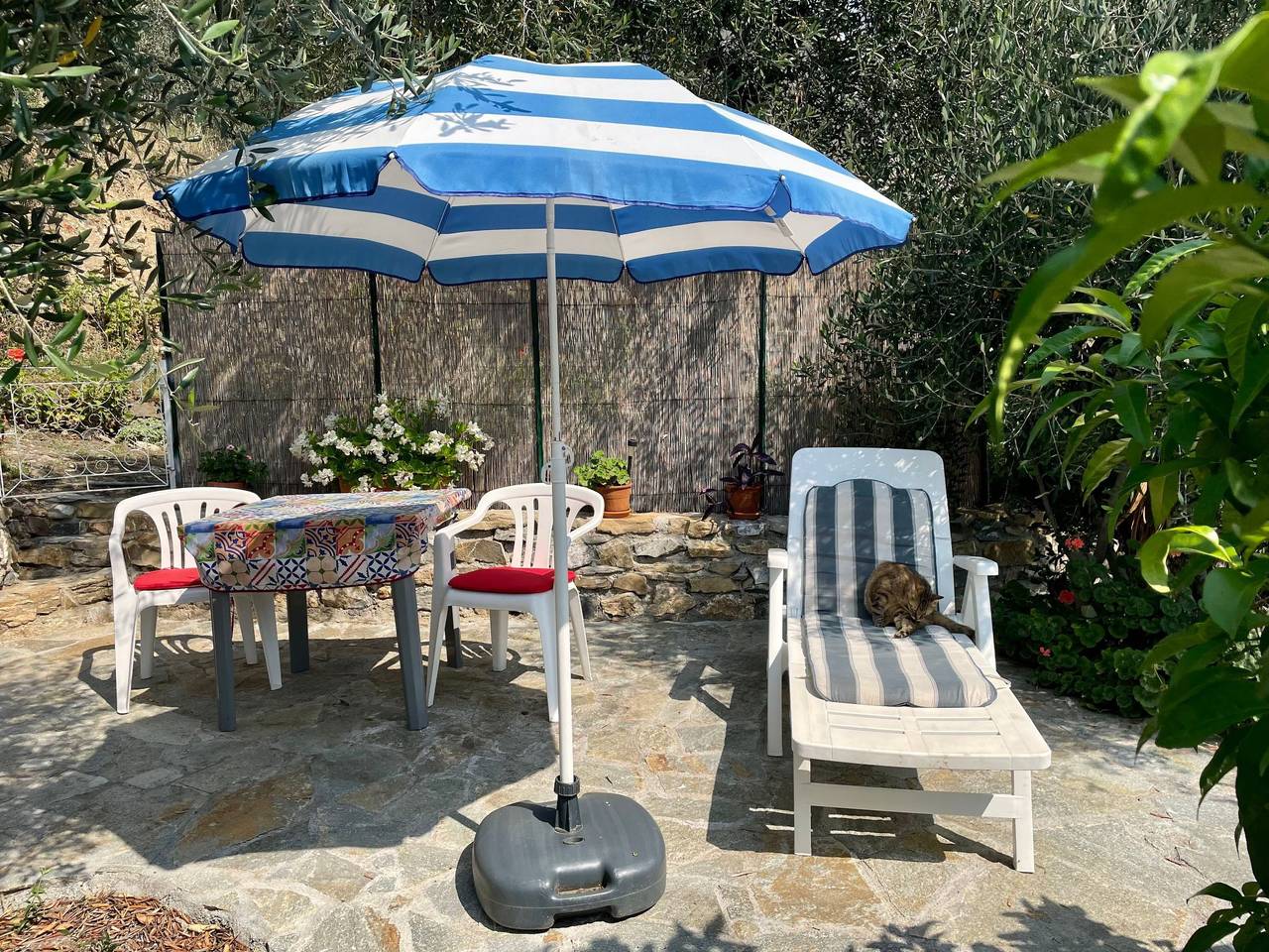 Ganze Wohnung, Piccola navetta in Diano San Pietro, Riviera di Ponente