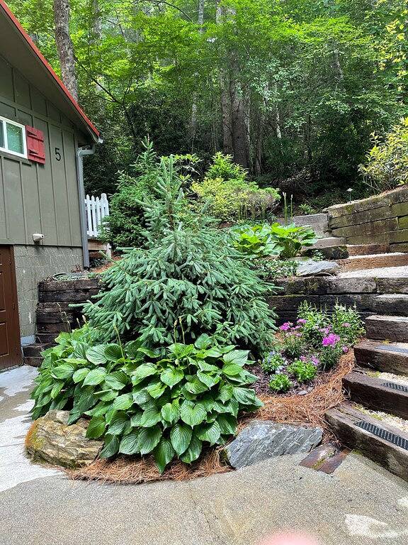 Creek side cottage with fire pit. Walk to Cashiers. Dog friendly. in Jackson County