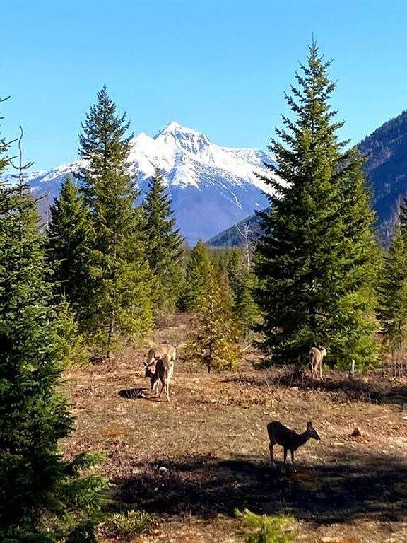 Vacation house for 12 people in Glacier National Park