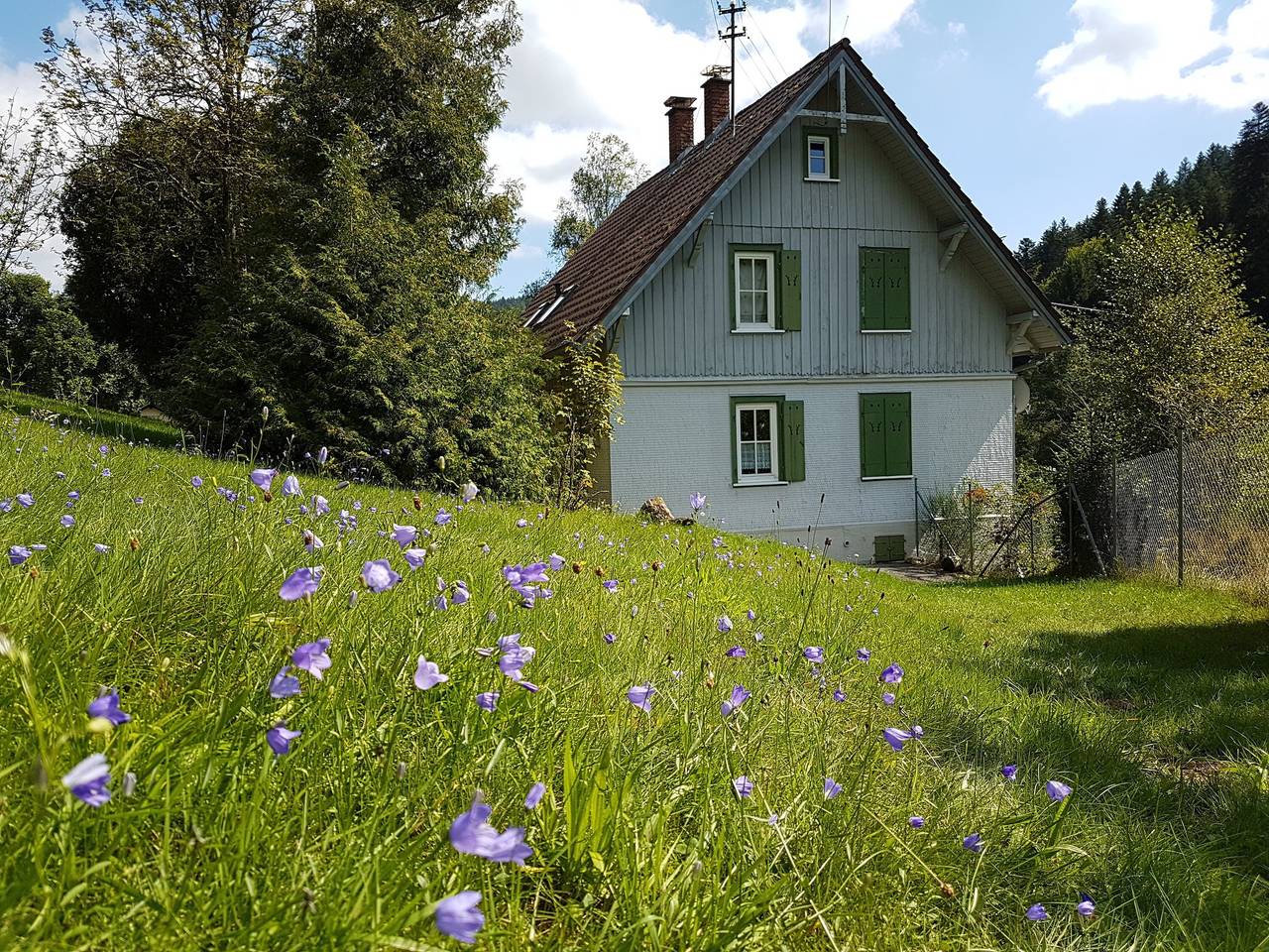 Holiday Home 'Pure Nature in the Northern Black Forest' in Enzklösterle, Northern Black Forest