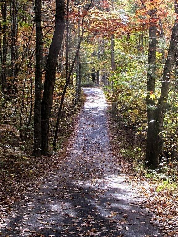 Abgelegene Berghütte, Rollstuhl / Powerchair Accessible in Chattahoochee National Forest