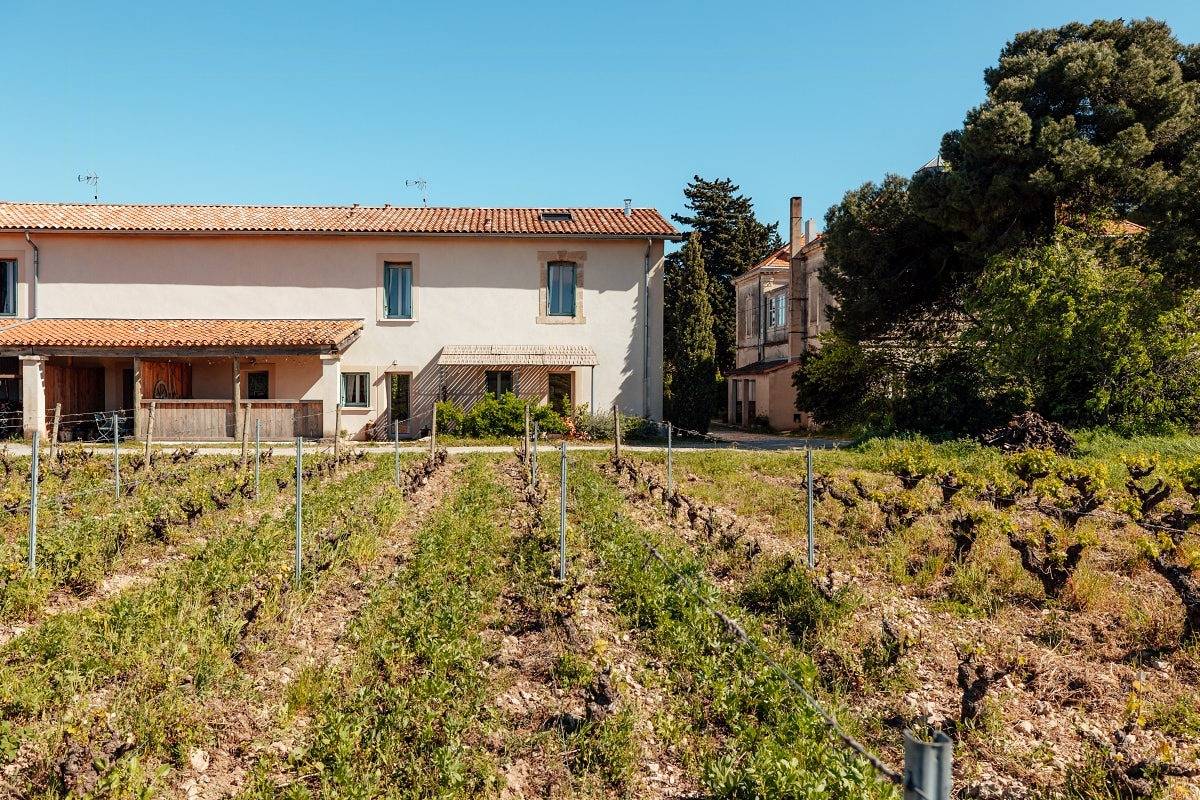 Appartement entier, Gîte écologique dans un domaine viticole à Frontignan in Frontignan, Côte d'Améthyste