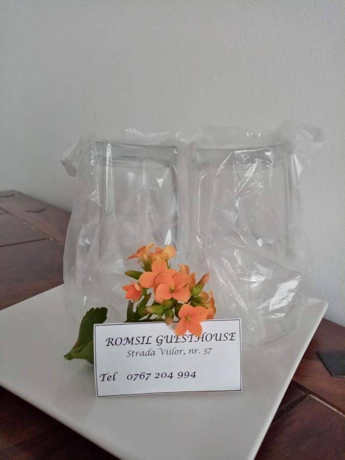 Villa pour 24 personnes, avec terrasse, animaux acceptés en Roumanie - 3