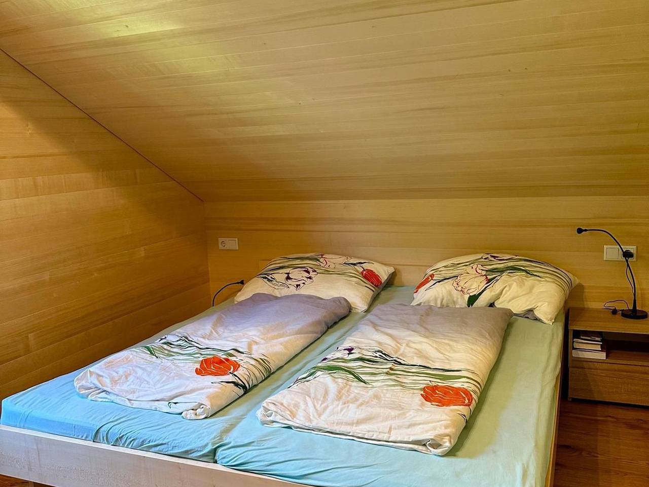 Ganze Ferienwohnung, Ue 433 - Appartement/Fewo, Dusche, Wc, 2 Schlafräume in Mellau, Bregenzerwald