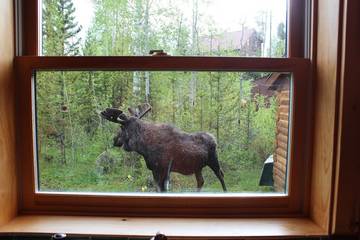 Log Cabin for 8 Guests in Rocky Mountain National Park, Colorado, Picture 4
