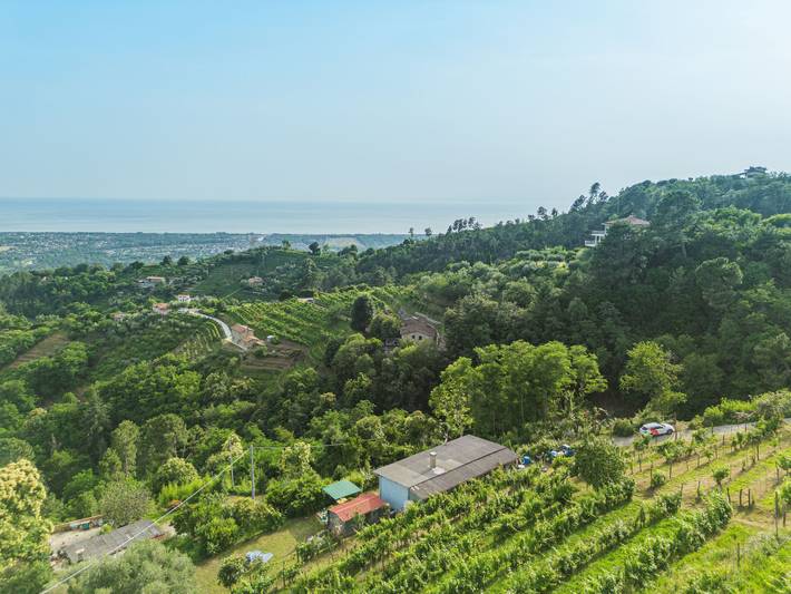 Margherita in Montignoso, Riviera Toscana