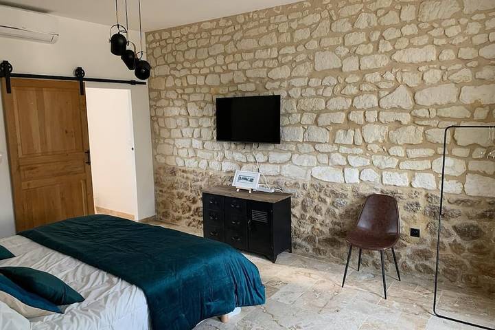 Location de vacances pour 10 personnes, animaux acceptés à Saint-Nicolas-de-Bourgueil - 2