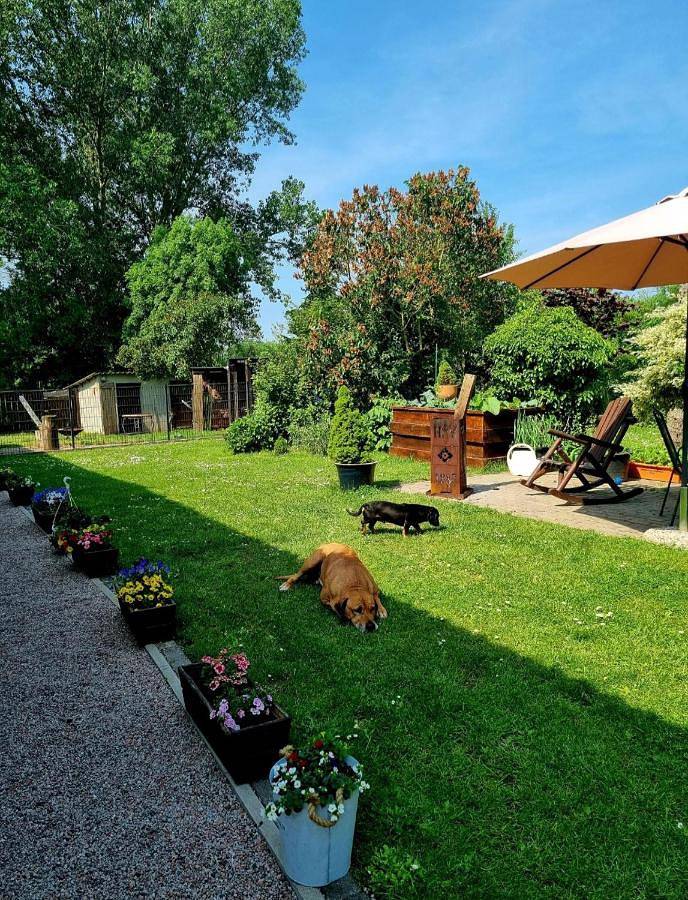 Ganze Wohnung, Haus am Wiesengrund in Klein Strömkendorf, Salzhaff