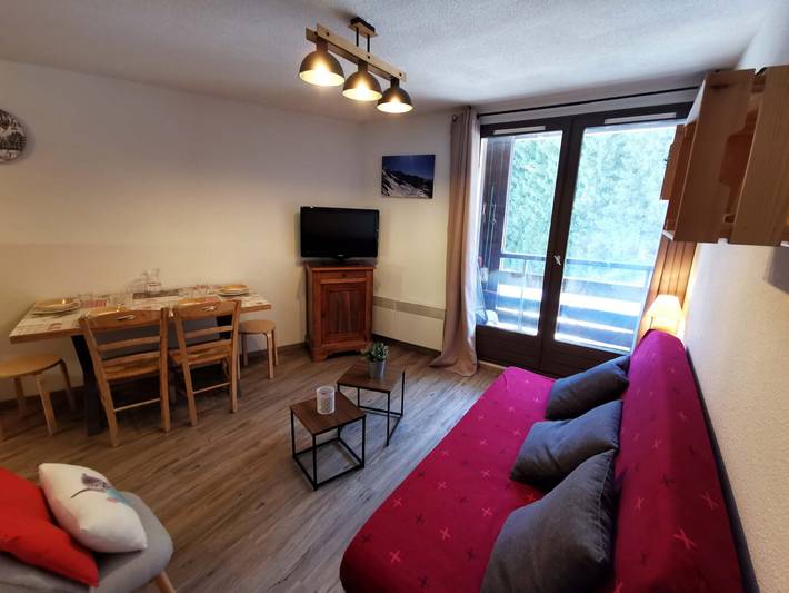 Gîte pour 6 personnes, avec balcon dans Prapoutel - 3