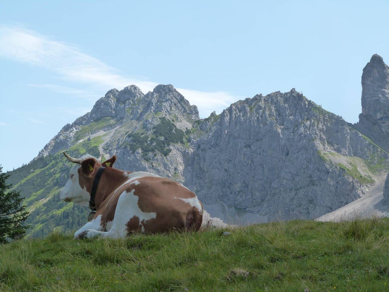 "Silberdistel"-Ferienwohnung/1 Schlafraum/Du.,Wc in Mittenwald, Alpes Bávaros