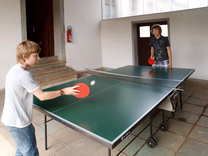 Ferienwohnung für 2 Personen, mit Terrasse, mit Haustier im Vogtland - 3
