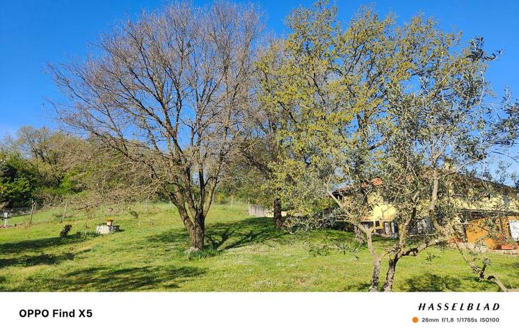 Ganze Wohnung, Apartment 'Il Melarancio Bb' mit Gemeinschaftsgarten, Wlan und Klimaanlage in Monterosi, Braccianosee