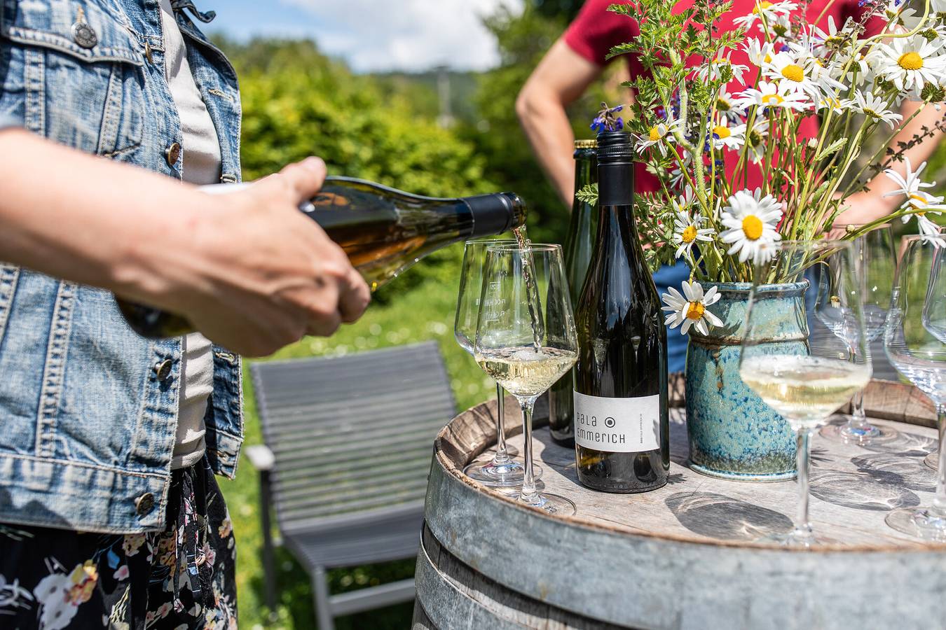 Ganze Ferienwohnung, Pala-Emmerich Wein - Ferienwohnung, 65qm, 1 Schlafzimmer, 1 Wohn/Schlafzimmer, max. 2 Personen in Iphofen, Fränkisches Weinland