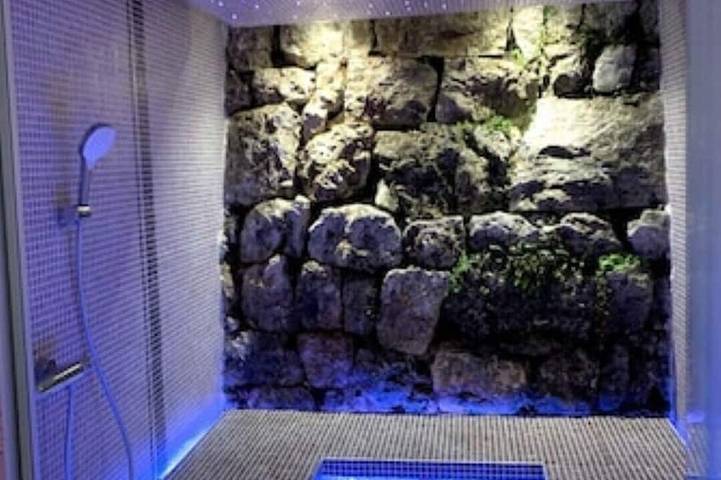 Location de vacances pour 9 personnes, avec sauna ainsi que jacuzzi et jardin à Châteauneuf-Grasse - 4