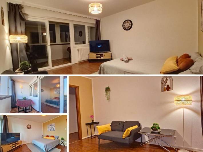 Gîte pour 3 personnes, avec vue à Hœnheim
