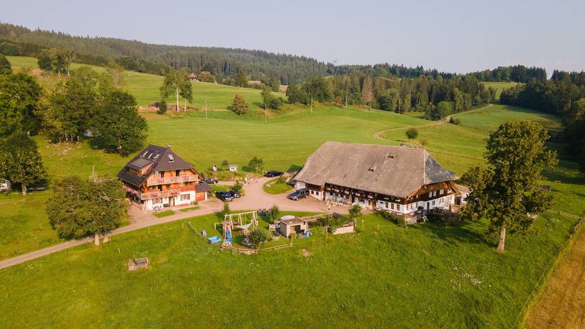 Ganze Wohnung, Apartment 'Feldberg' mit Gemeinschaftsgarten, Balkon und Wlan in Hinterzarten, Südschwarzwald
