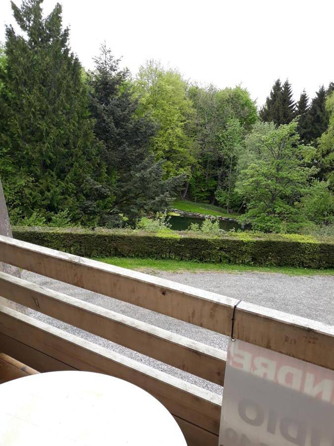Appartement entier, Résidence le Faucon - Col du Donon in Grandfontaine (Bas-Rhin), Bas-Rhin Alsace