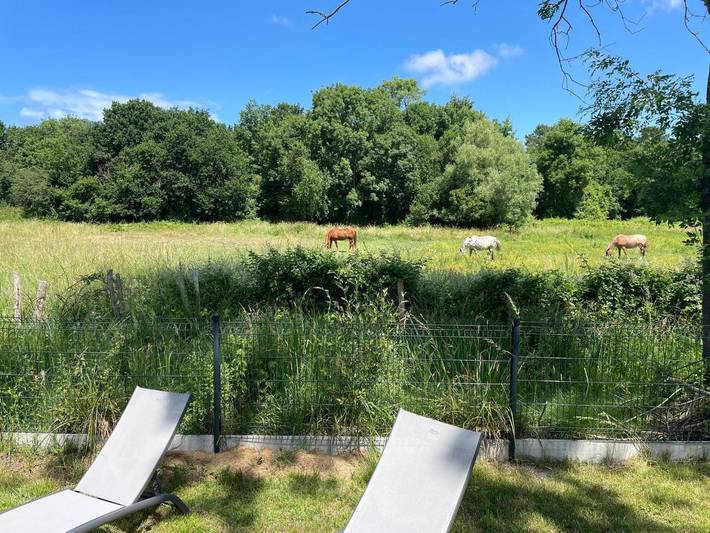 Maison d’hôte pour 4 personnes, avec terrasse ainsi que piscine et jardin à Les Mathes - 3