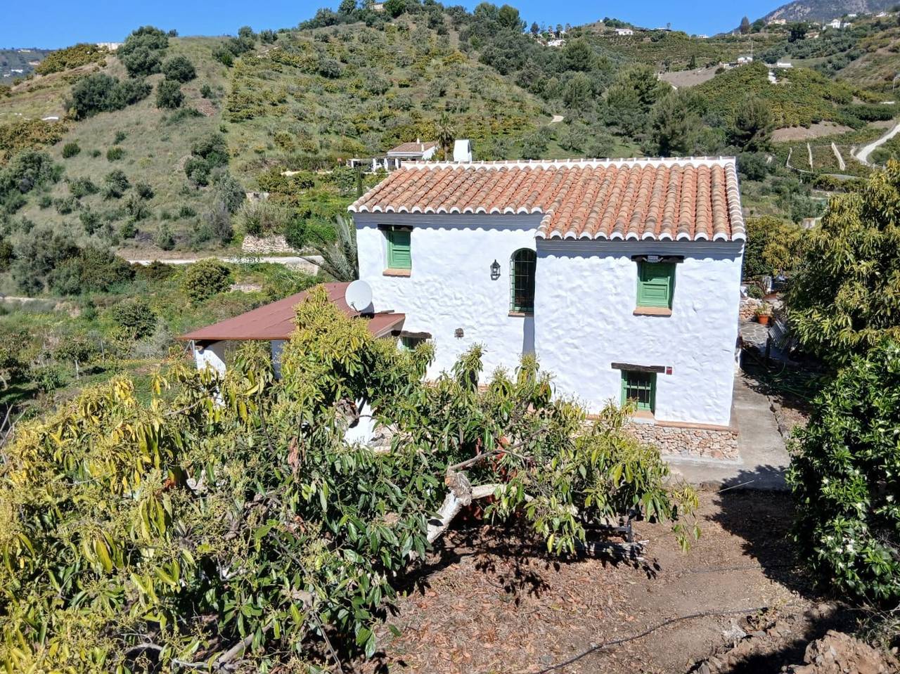El Olivarillo – Charming Accommodation for a Nature Getaway in Frigiliana, Costa del Sol