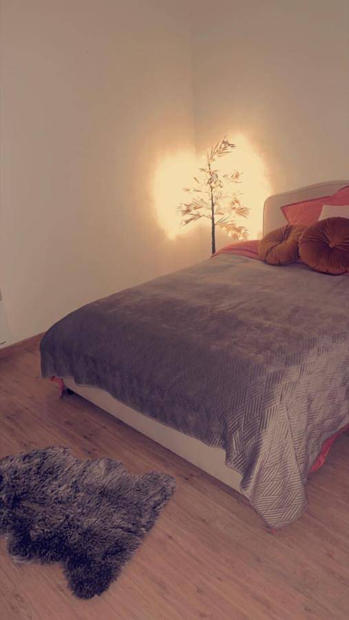 Gîte pour 3 personnes, avec terrasse ainsi que vue et jardin à Lille - 3