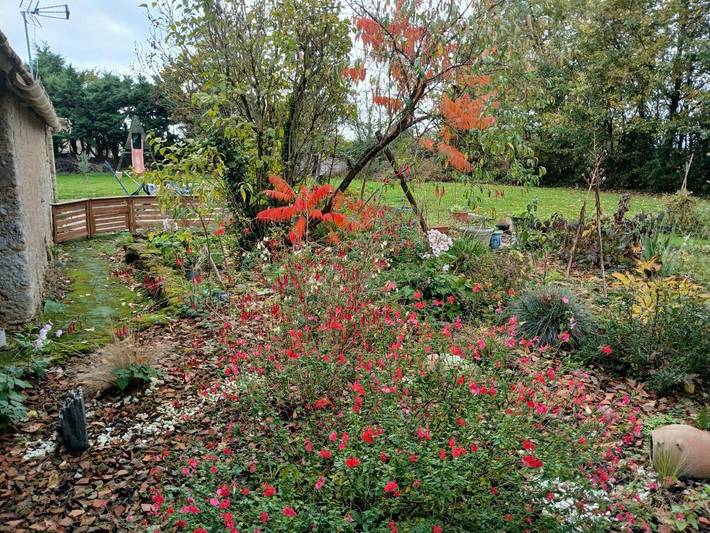 Gîte pour 4 personnes, avec jardin et vue dans Terranjou - 3