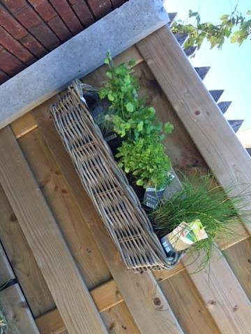 Gîte pour 6 personnes, avec vue et terrasse dans Watou - 2