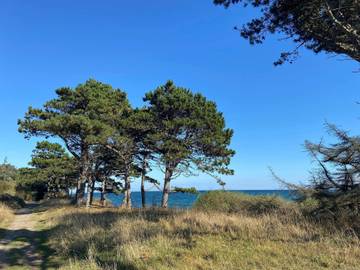 Feriehus til 6 Personer i Knebel, Djursland, Bilde 1