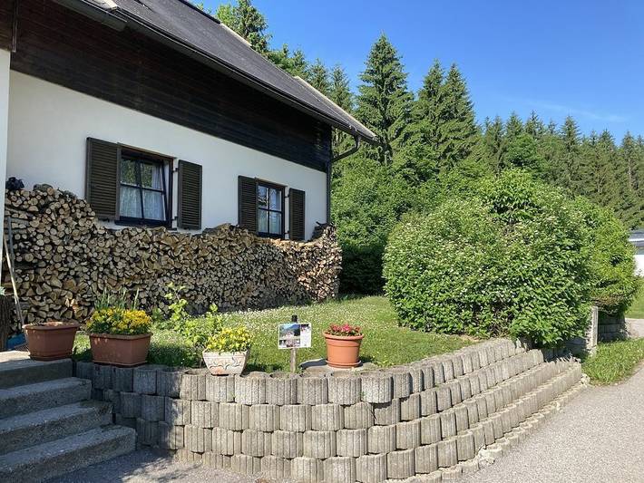 Waldblick am Draustausee in Karawanken und Bachergebirge, Feistritz im Rosental