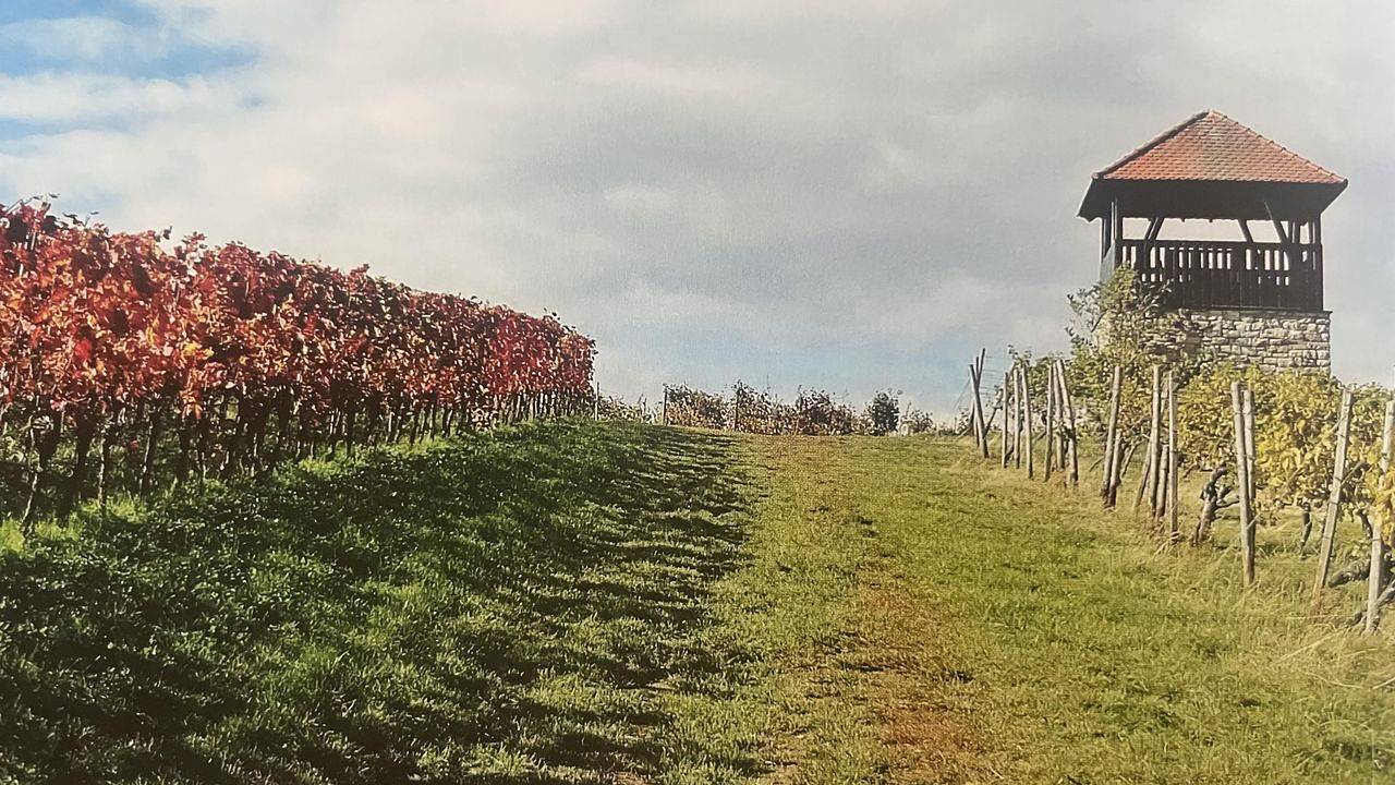 Apartamento vacacional entero, Ferienwohnung für 4 Personen (85 m²) in Ober-Flörsheim in Ober-Flörsheim, Kurpfalz