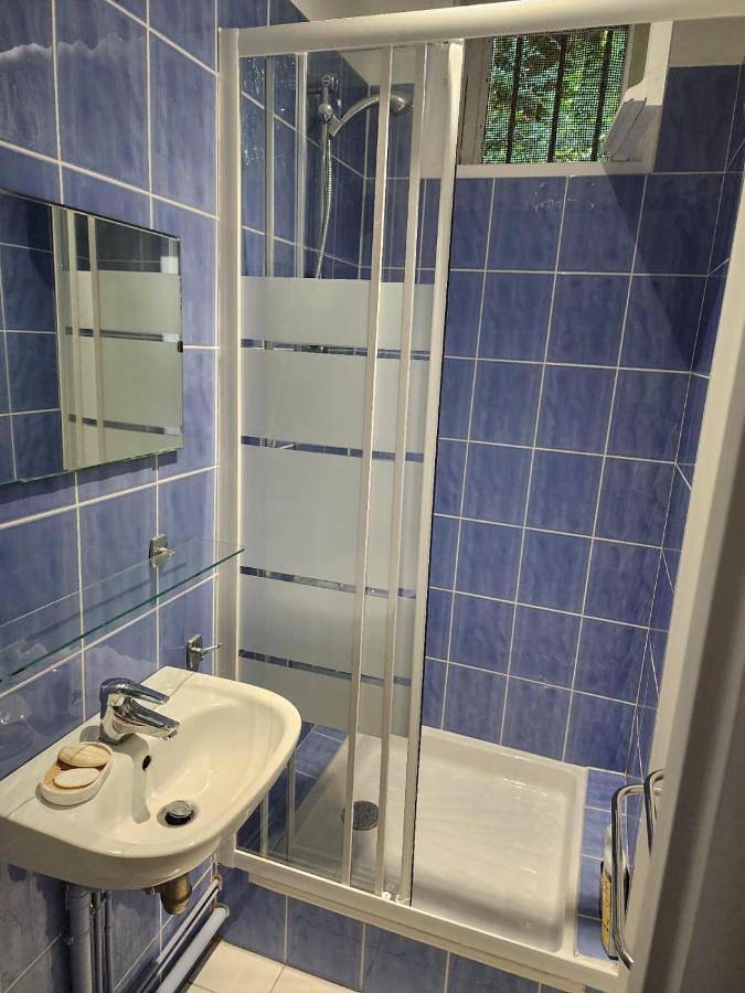 Location de vacances pour 12 personnes, avec vue ainsi que jardin et terrasse à Saint-Martin-aux-Buneaux - 4