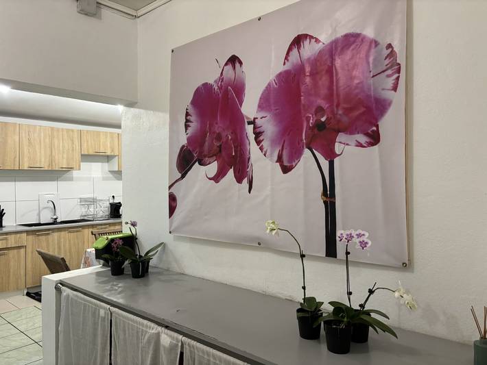 Gîte pour 6 personnes, avec terrasse et jardin, animaux acceptés sur l' Île de la Réunion - 3